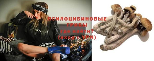 spice Лиски