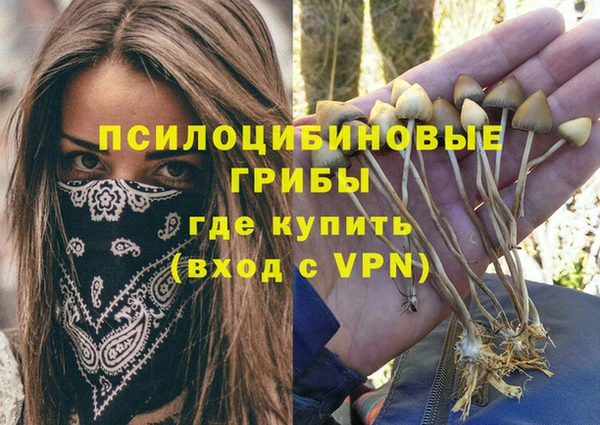 метадон Липки