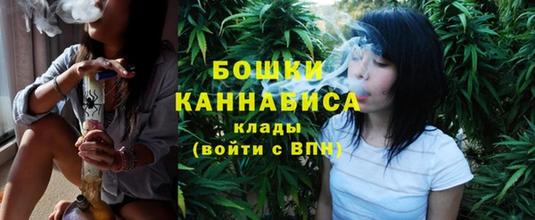 твердый Лабытнанги