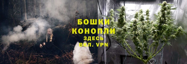 spice Лиски