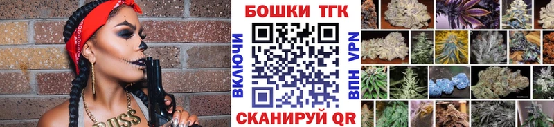 Каннабис OG Kush  где продают   Новопавловск 